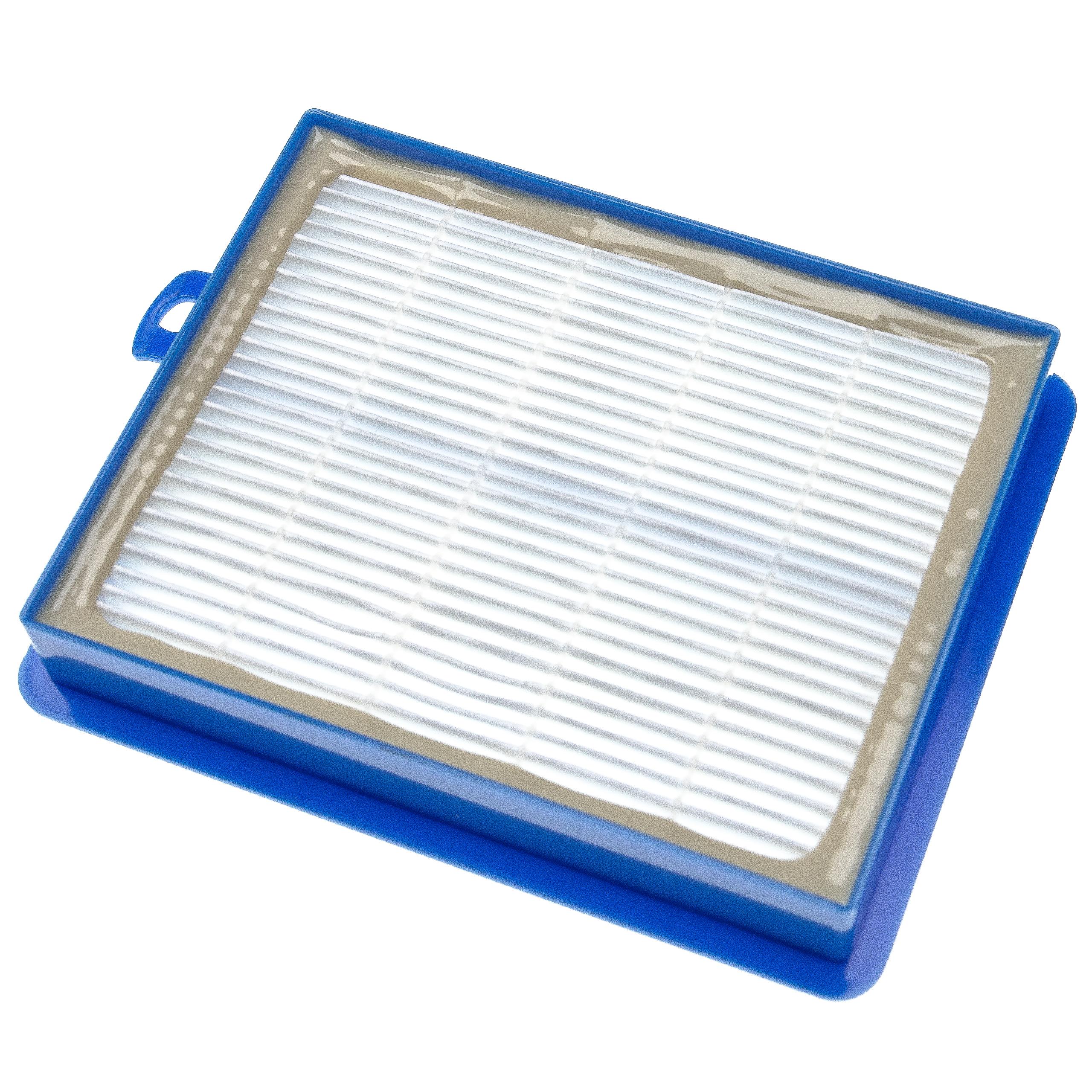 PakTrade Filtro HEPA Compatibile Con Aspirapolvere AEG AVC 1100, 1169, Vivacontrol E Electrolux