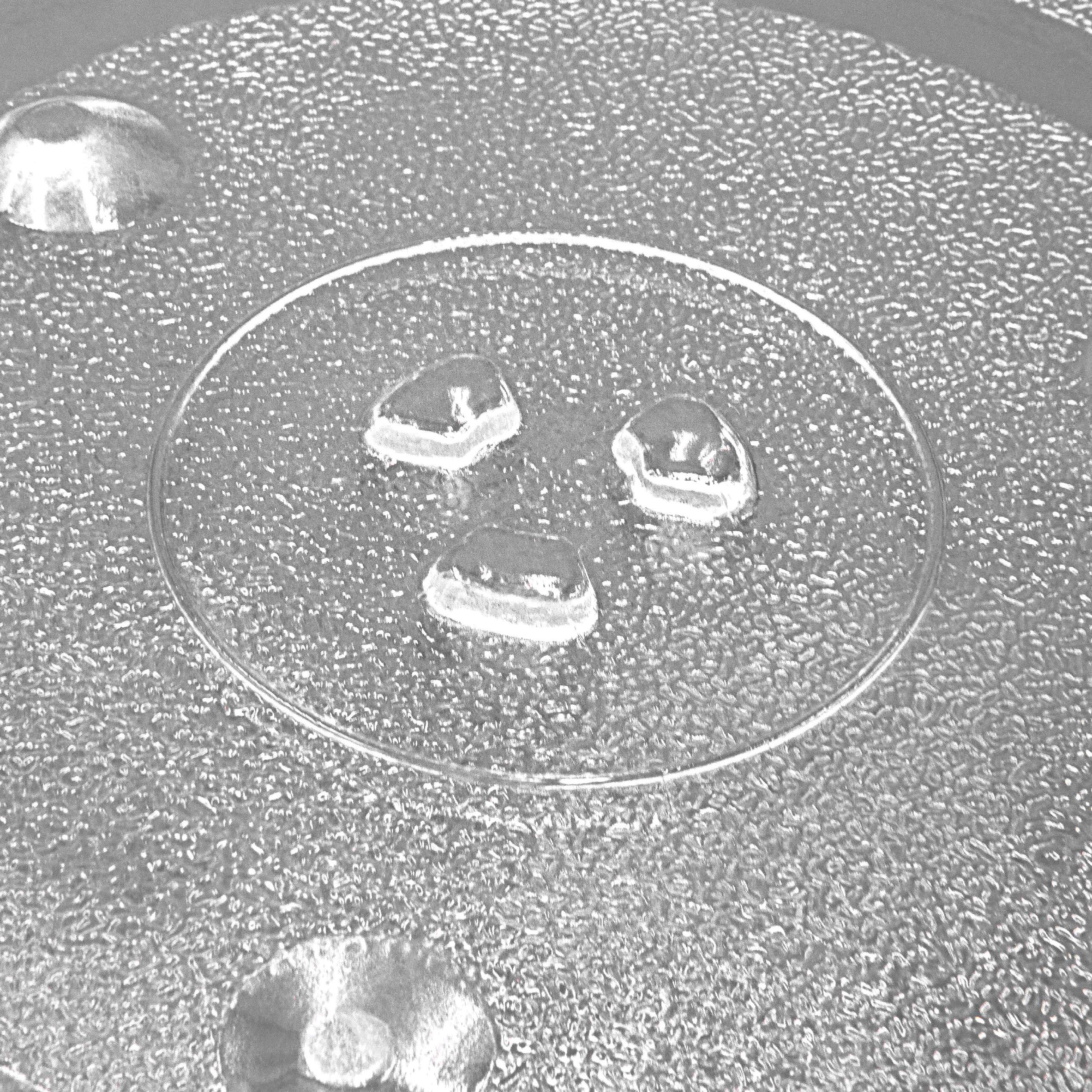 Piatto Di Vetro Diam. 28,8 Cm - Forni A Microonde - SAMSUNG - 38818